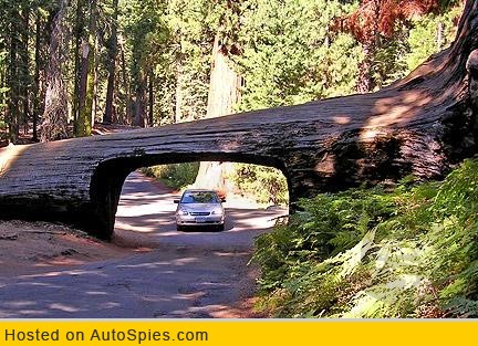 Is The Sequoia Too Big?